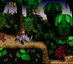 Donkey Kong Country